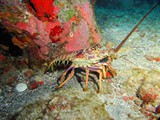 Pousada em Fernando de Noronha